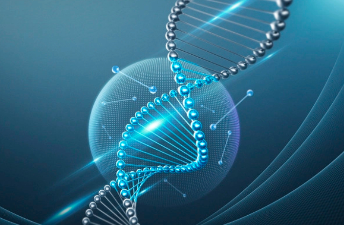 古特生物 古特生物