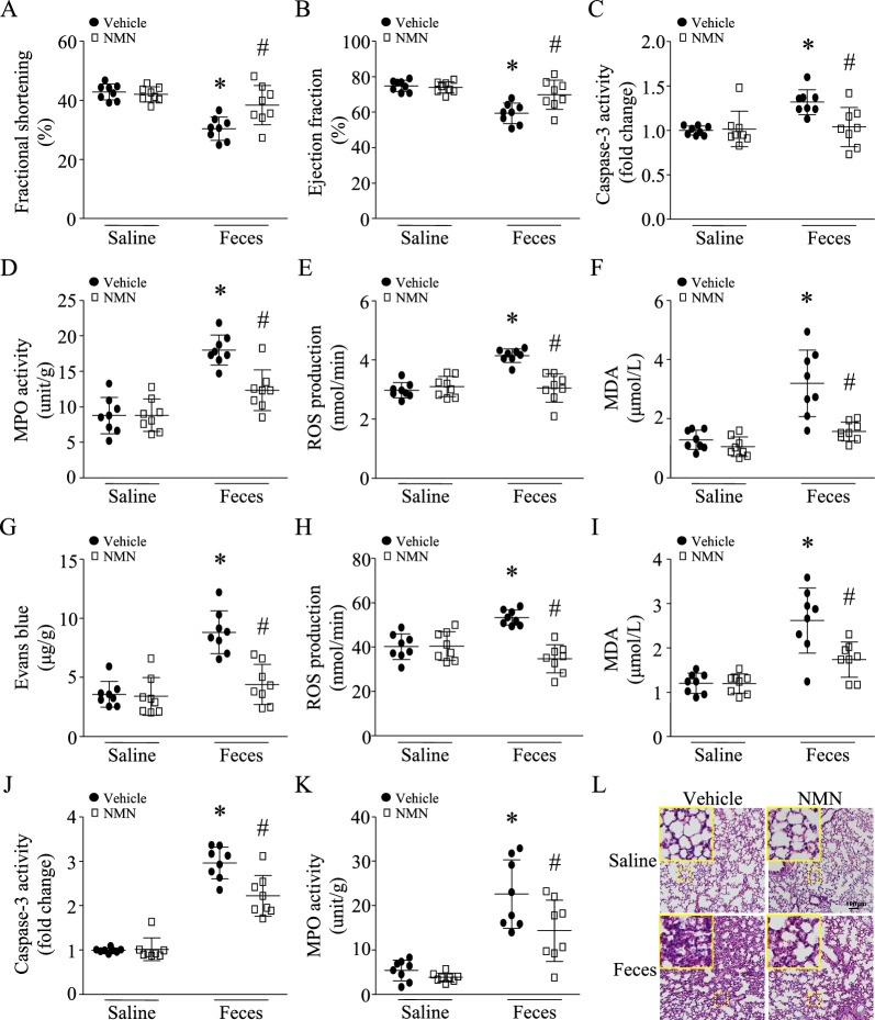 包含圖片、插圖等的外部文件。
對象名稱為 12967_2023_4767_Fig2_HTML.jpg