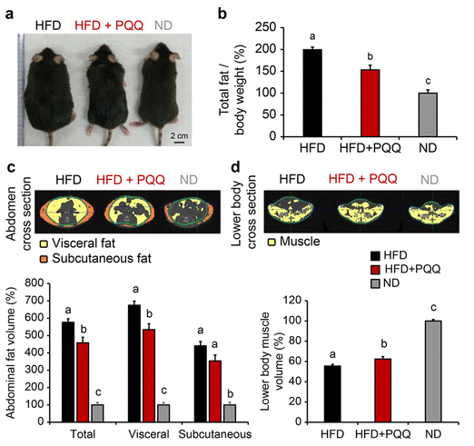 古特生物 研究實驗