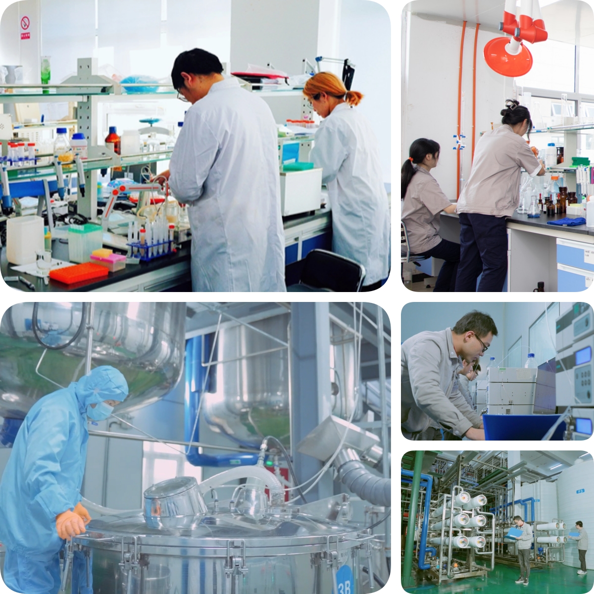 谷胱甘肽是怎么生產(chǎn)的？