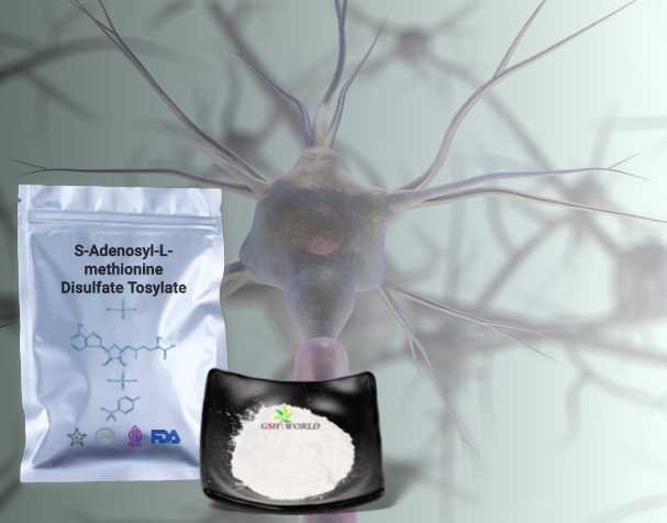 SAMe對神經(jīng)健康的作用 SAMe對神經(jīng)健康的作用